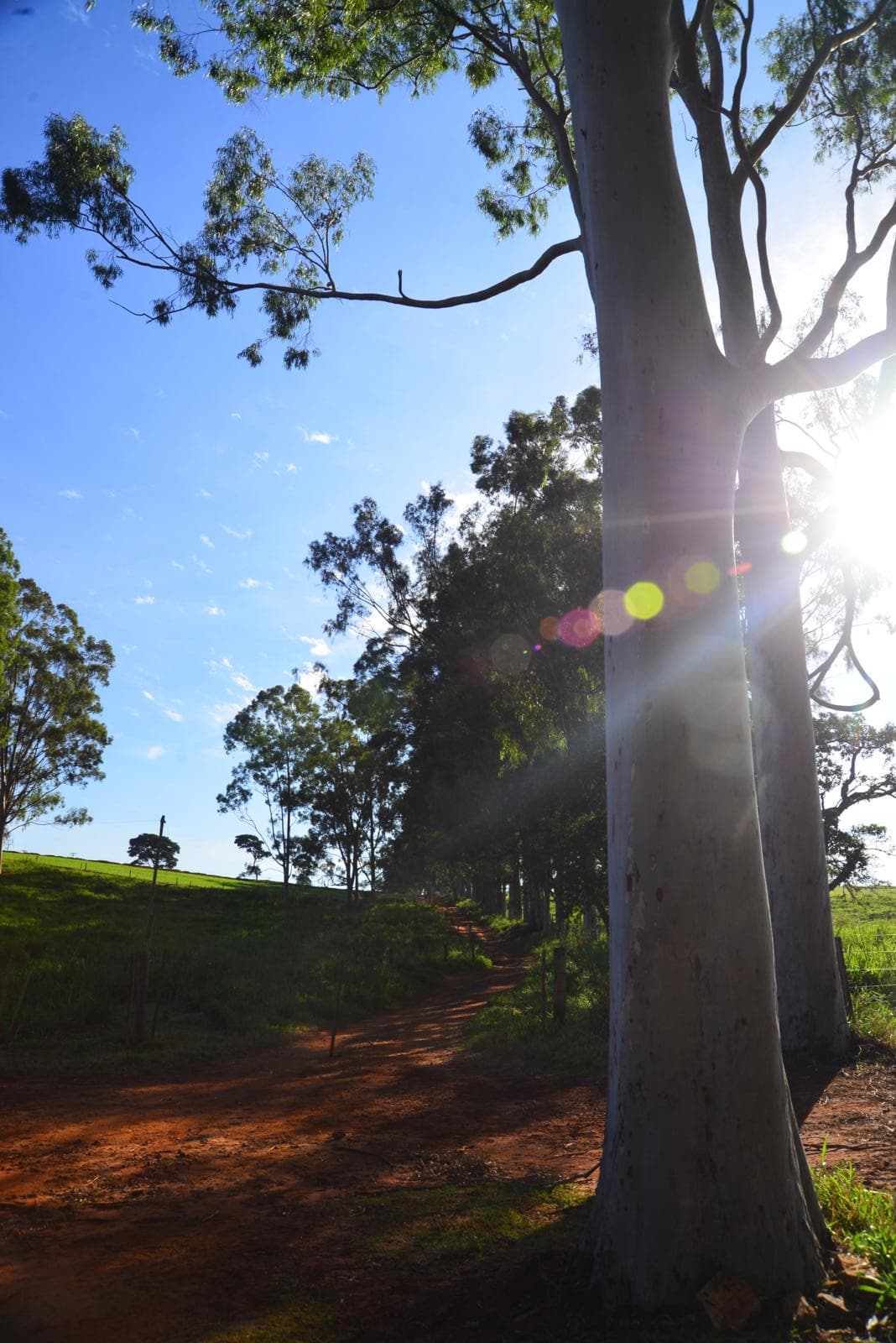 Fazenda São Luiz