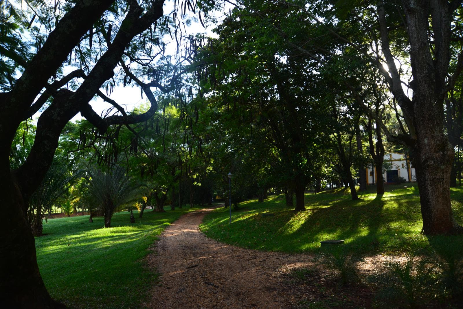 Sustentabilidade Fazenda São Luiz